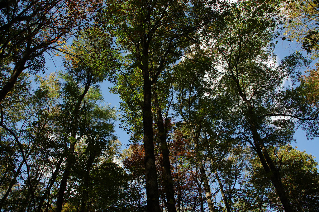 DSC_00050018.JPG