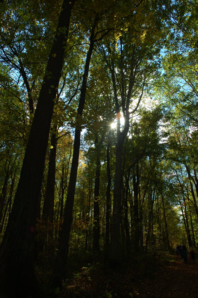 DSC_00070019.JPG