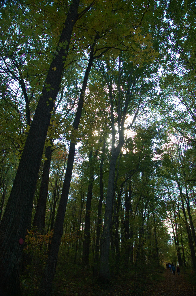 DSC_00080020.JPG