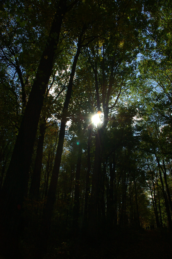 DSC_00100021.JPG