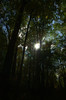 DSC_00100021.JPG