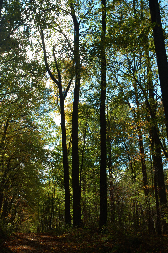 DSC_00120022.JPG