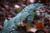 DSC_00170023.JPG