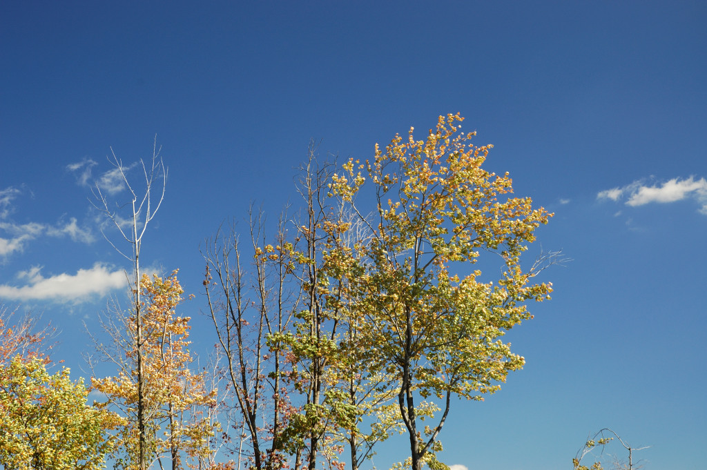 DSC_00200024.JPG
