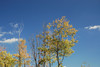 DSC_00200024.JPG
