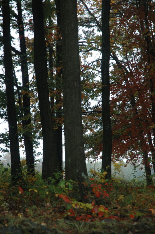2006-10-05DSC_0014.JPG