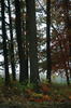 2006-10-05DSC_0014.JPG