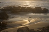 2009-10-27_17-57-46_DSC_0044.jpg