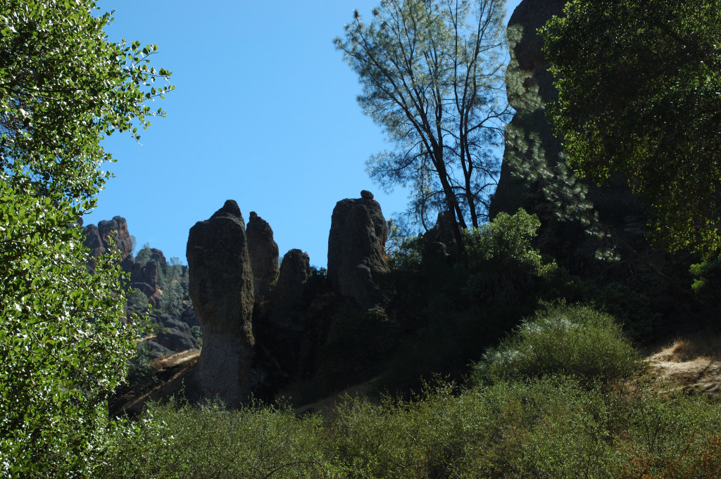 DSC_00120028.JPG