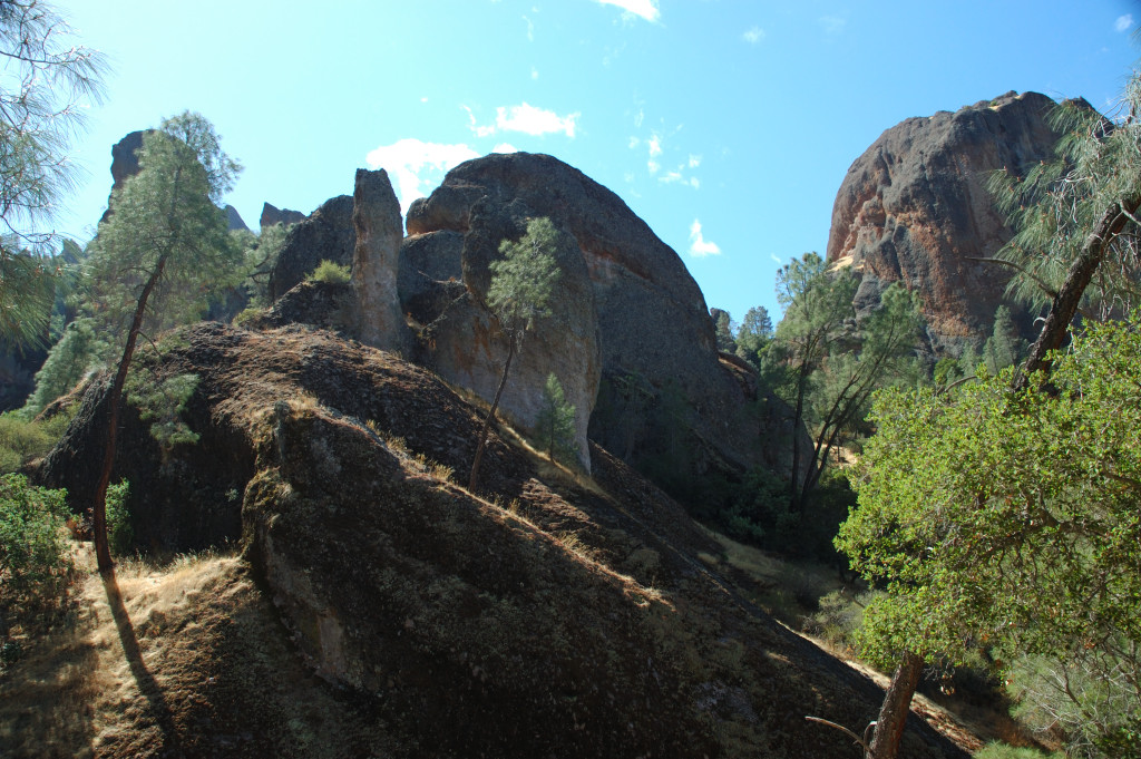 DSC_00150029.JPG