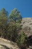 2007-10-06DSC_0033.JPG