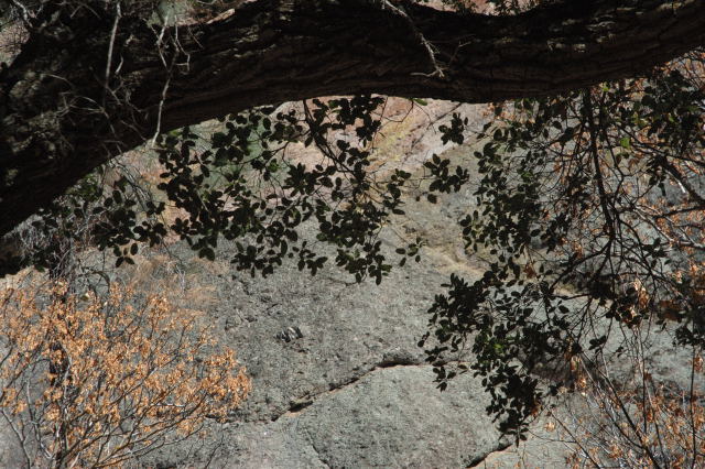 2007-10-06DSC_0036.JPG
