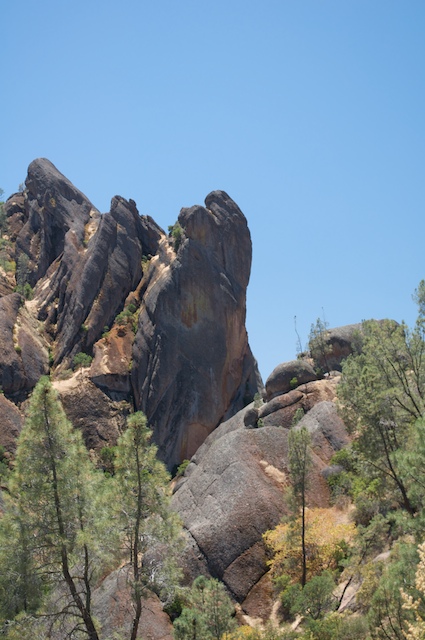 2010-07-02_13-13-23_DSC_0224.jpg