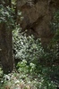 2010-07-02_13-56-04_DSC_0228.jpg