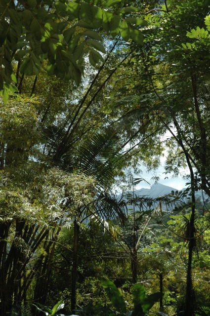 2007-02-25DSC_0008.JPG