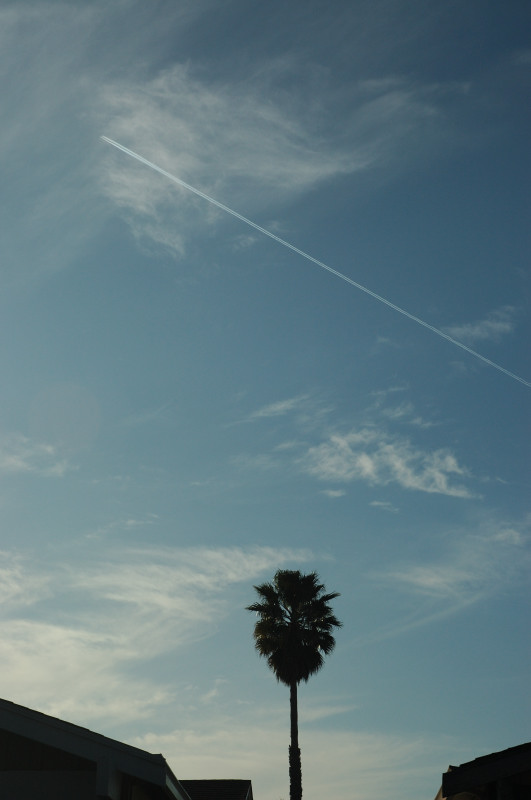 DSC_00120089.JPG
