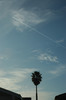 DSC_00120089.JPG