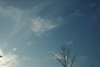 DSC_00140090.JPG