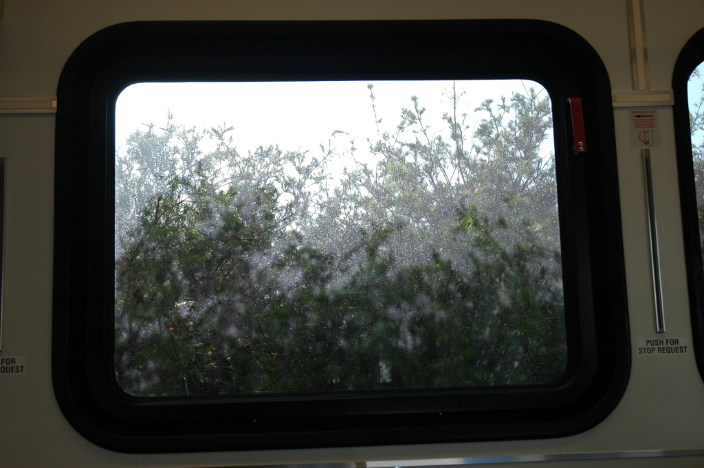 DSC_00300014.JPG