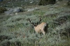 2009-07-13_17-19-26_DSC_0018.jpg