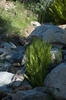 2009-07-13_18-14-45_DSC_0036.jpg