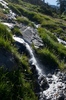 2009-07-14_09-25-50_DSC_0073.jpg