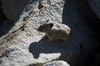 2009-07-15_08-30-23_DSC_0113.jpg