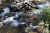 2009-07-15_09-52-44_DSC_0252.jpg