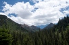 2009-07-16_13-20-42_DSC_0408.jpg