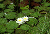 DSC_0098.JPG