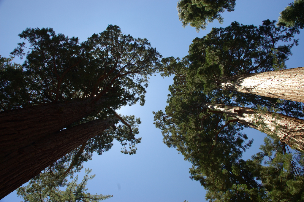 DSC_0123.JPG