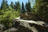 DSC_0132.JPG