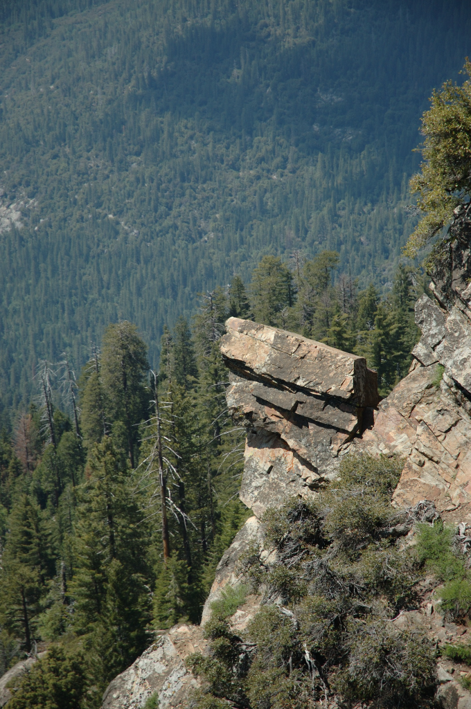 DSC_0153.JPG
