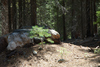 DSC_0159.JPG