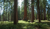 DSC_0163.JPG