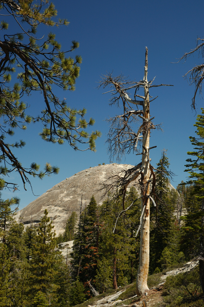 DSC_0190.JPG