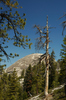DSC_0190.JPG