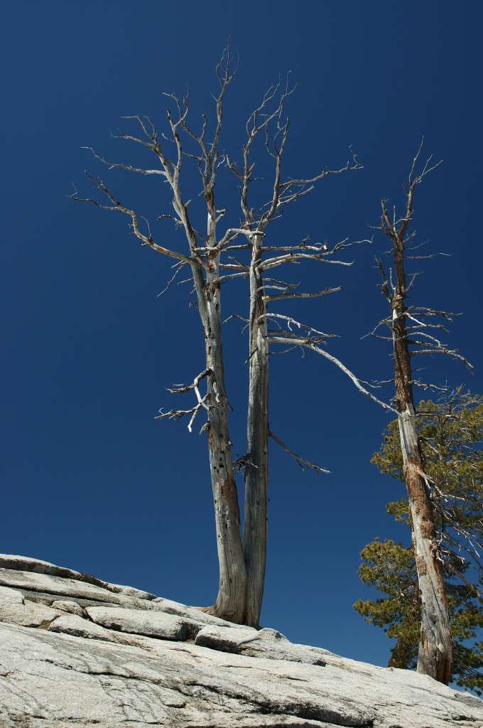 DSC_0208.JPG