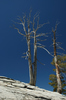 DSC_0208.JPG