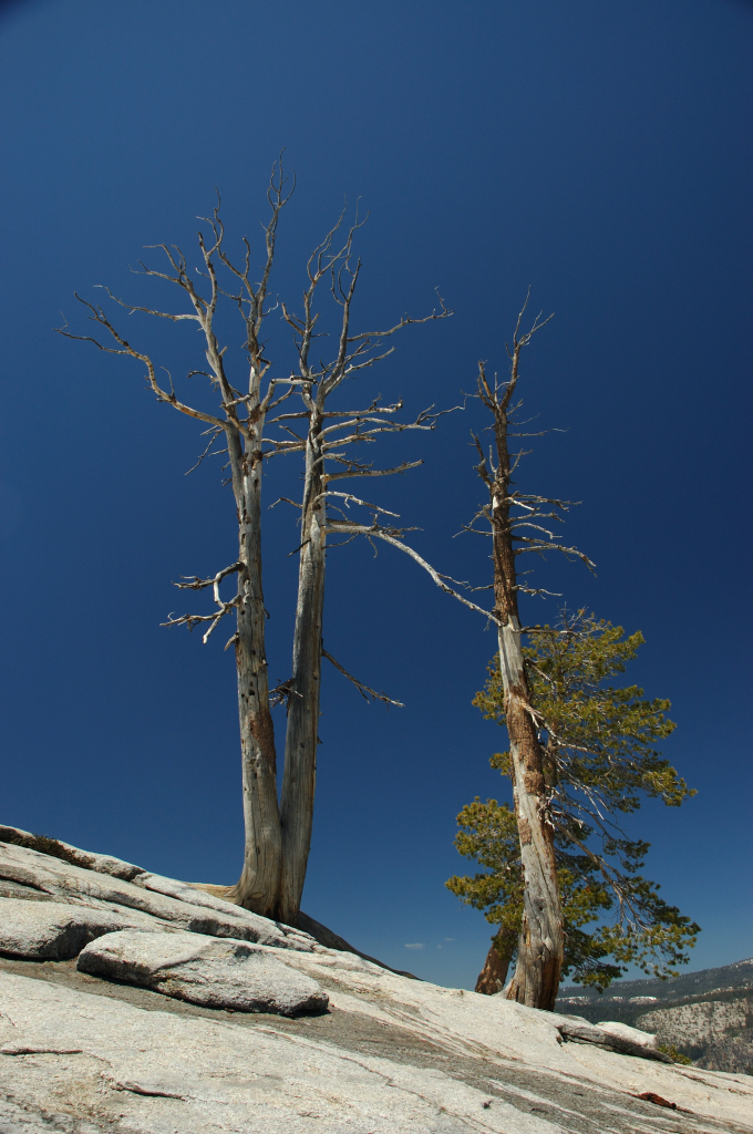 DSC_0210.JPG