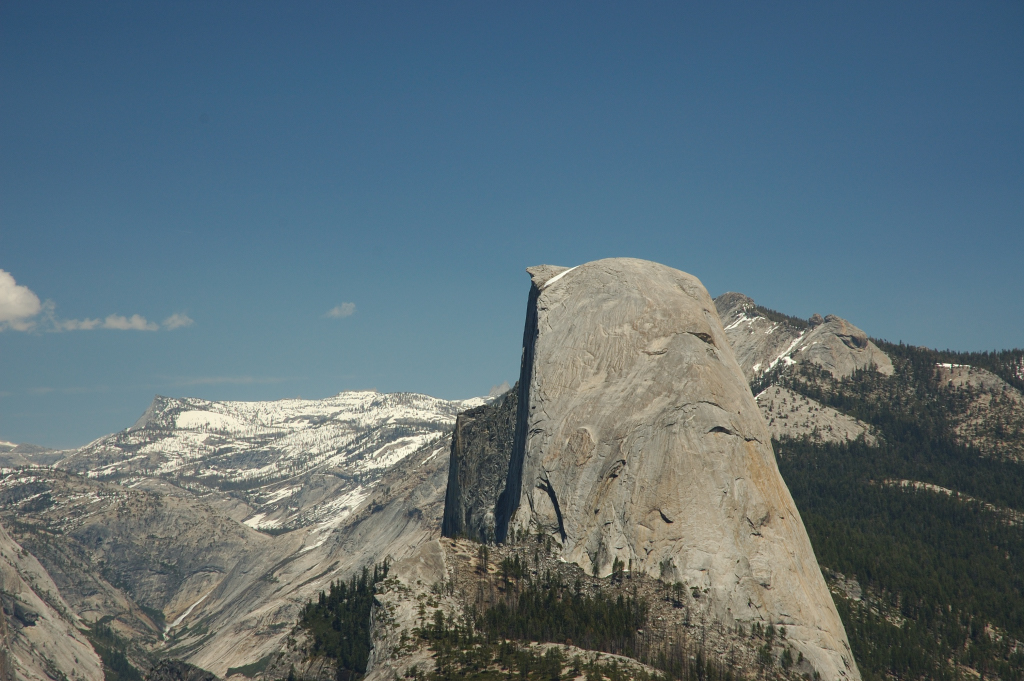 DSC_0229.JPG