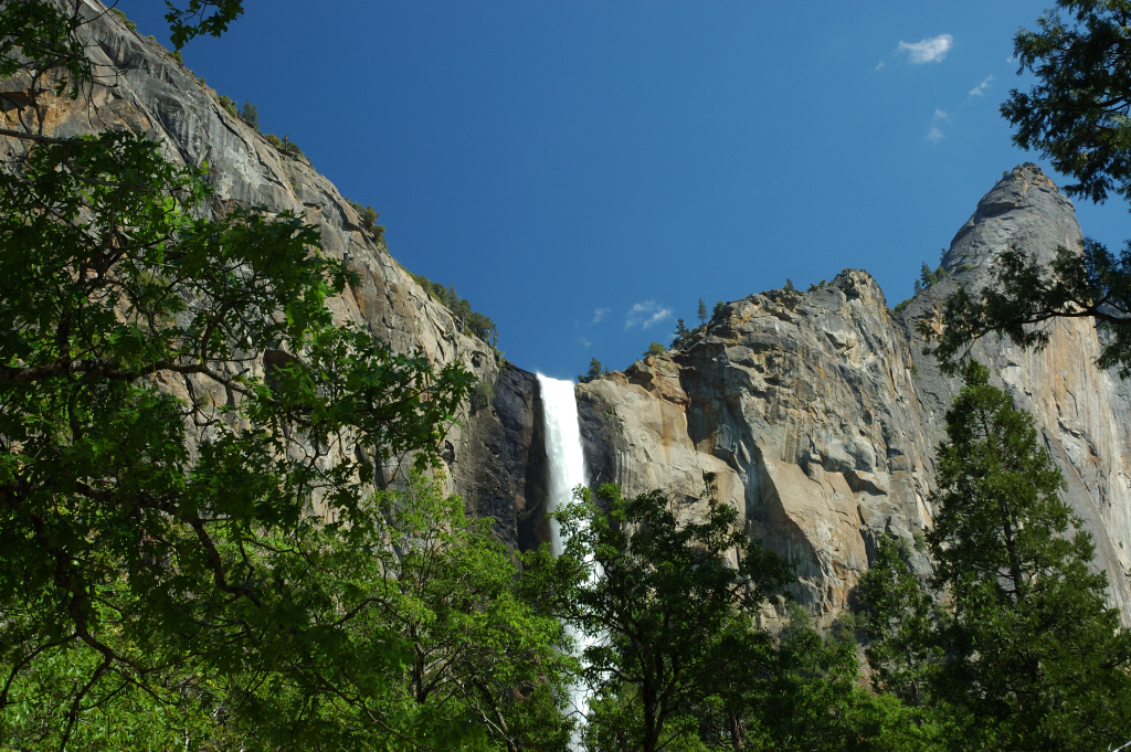 DSC_0248.JPG