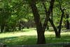 DSC_0252.JPG
