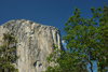 DSC_0254.JPG