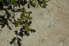 2006-05-12DSC_0115.JPG