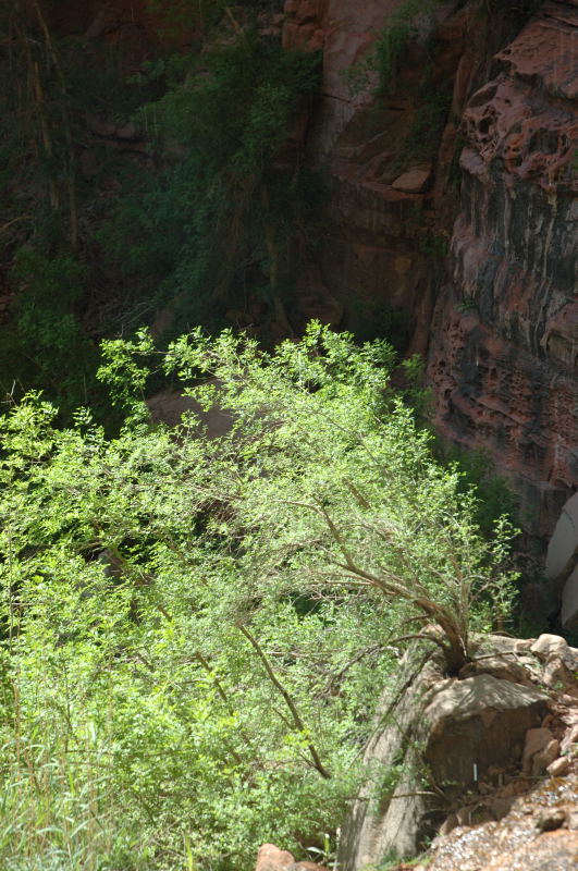 2006-05-12DSC_0263.JPG