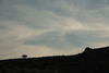 2006-05-12DSC_0289.JPG