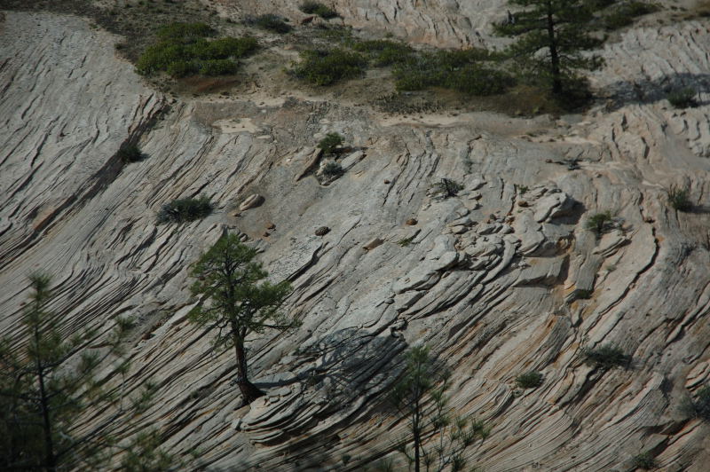 2006-05-13DSC_0131.JPG